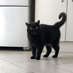 ������, �����������, 27 ���