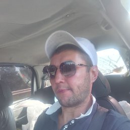  , 41, 