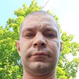 �������, ���������, 40 ���