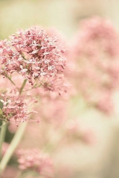    - 26  2025  18:17 - 4