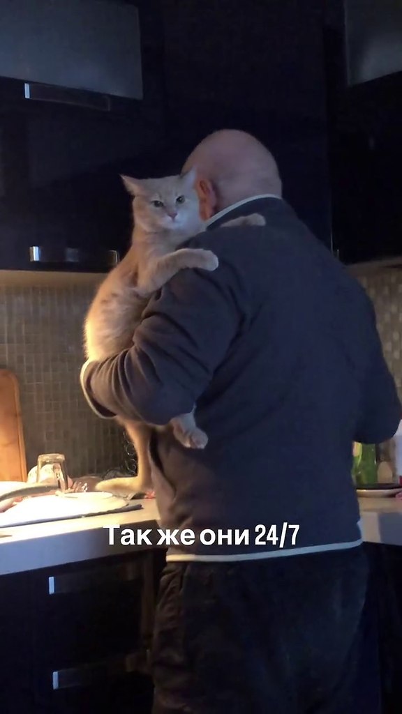 ��� � ����) - 2