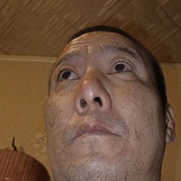 ������, ����-���������, 47 ���