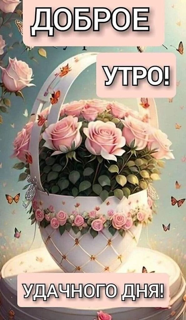 ₪╬═►  ||  ||  ◄═╬₪ - 30  2025  05:42