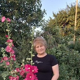 , 57, 