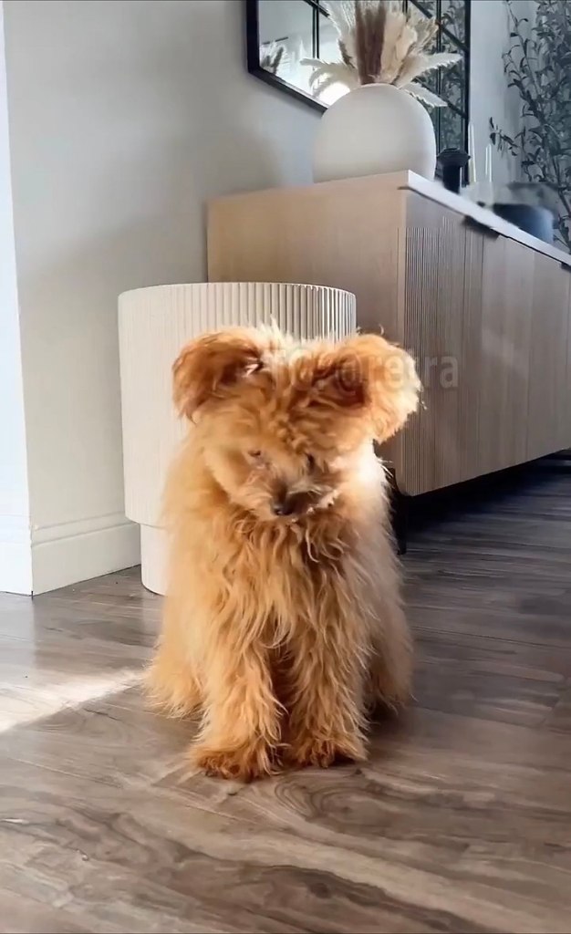 aco e ee   coa ce oca oec oepacoo a  e (c) ...