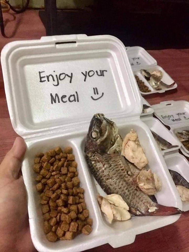 ���� �����