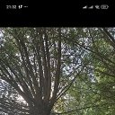 ���� ����, ������ �������, 66 ��� - ��������� 11 ����� 2026 � ������ ���� ����������