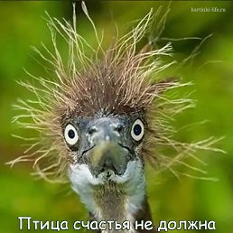 ���� �����, ����� - ��������� 18 ������ 2023
