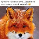 ���� �����, ��������, 46 ��� - ��������� 15 ���� 2026 � ������ ���� ����������