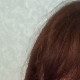 �������, �����������, 58 ���