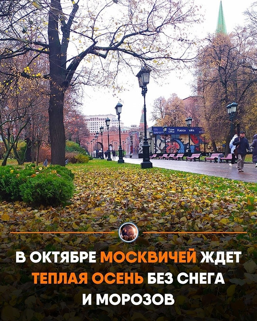 o coo, o  oce o oa op e e  cea,  c opoo. eoope ...