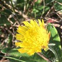 ���� �������, ��������, 63 ���� - ��������� 8 ������ 2023