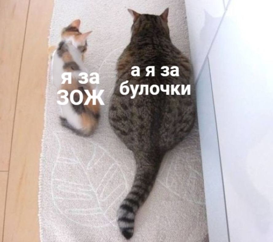    - 16  2024  06:13