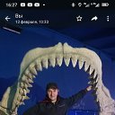 ���� ������, ��������, 38 ��� - ��������� 16 ������� 2024 � ������ ���� ����������