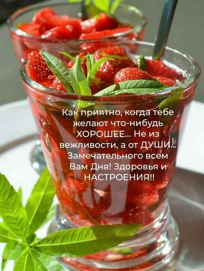   - 26  2025  06:02