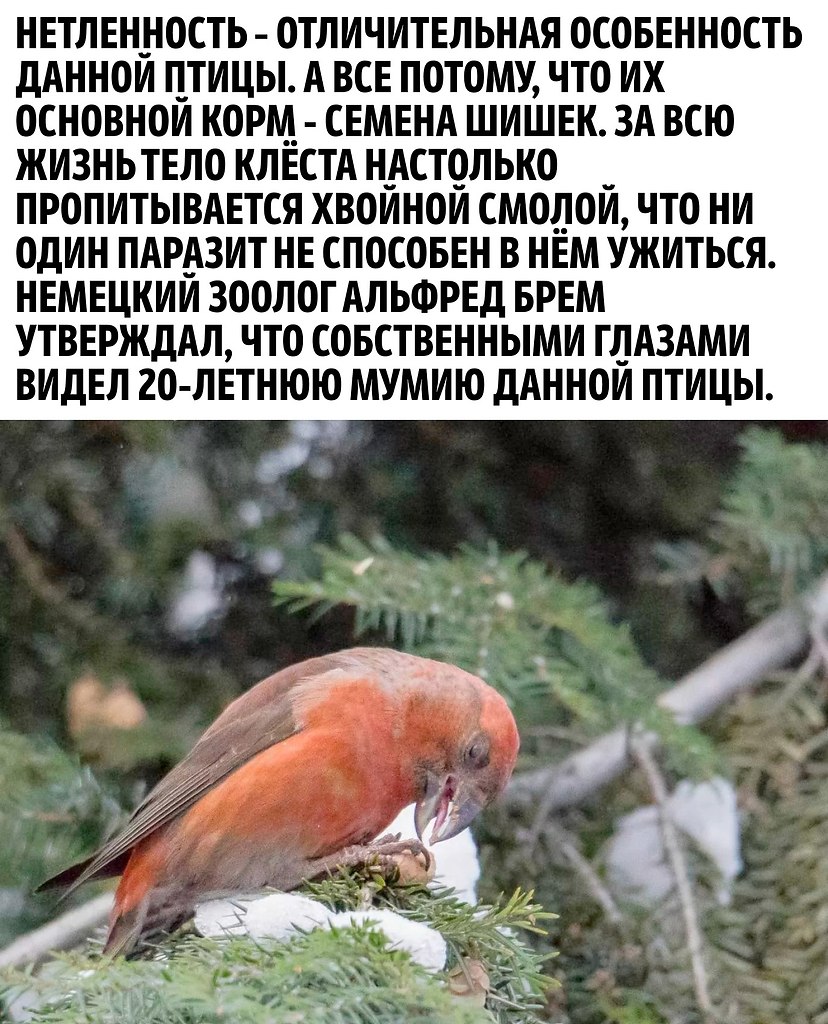       - 2