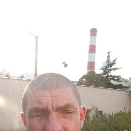 ����, 44 ����, �����