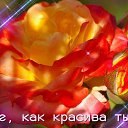 ���� ������, ���, 78 ��� - ��������� 7 ���� 2026 � ������ ���� ����������