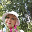  ,  -  28  2025    -    ,      .