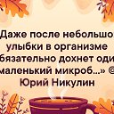  , , 53  -  11  2025   .