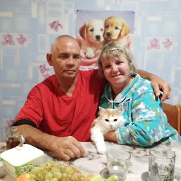 ������, 59 ���, ������������