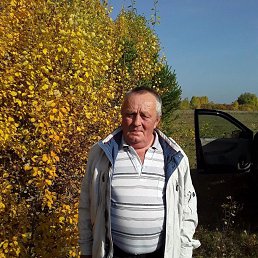 , 61 , 