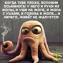 ���� �������, ���������, 44 ���� - ��������� 14 ������ 2026