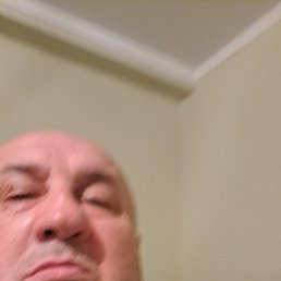 , 39, 