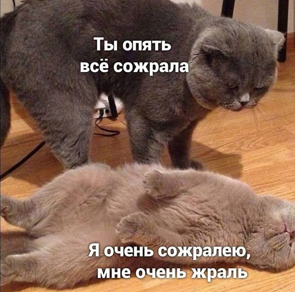    - 10  2024  21:27