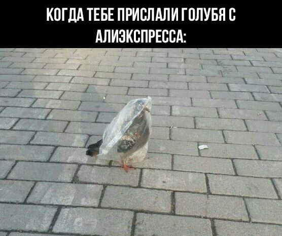    - 8  2023  13:23