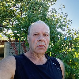 , 62, 