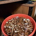   -14.11.2024.(7).jpg    