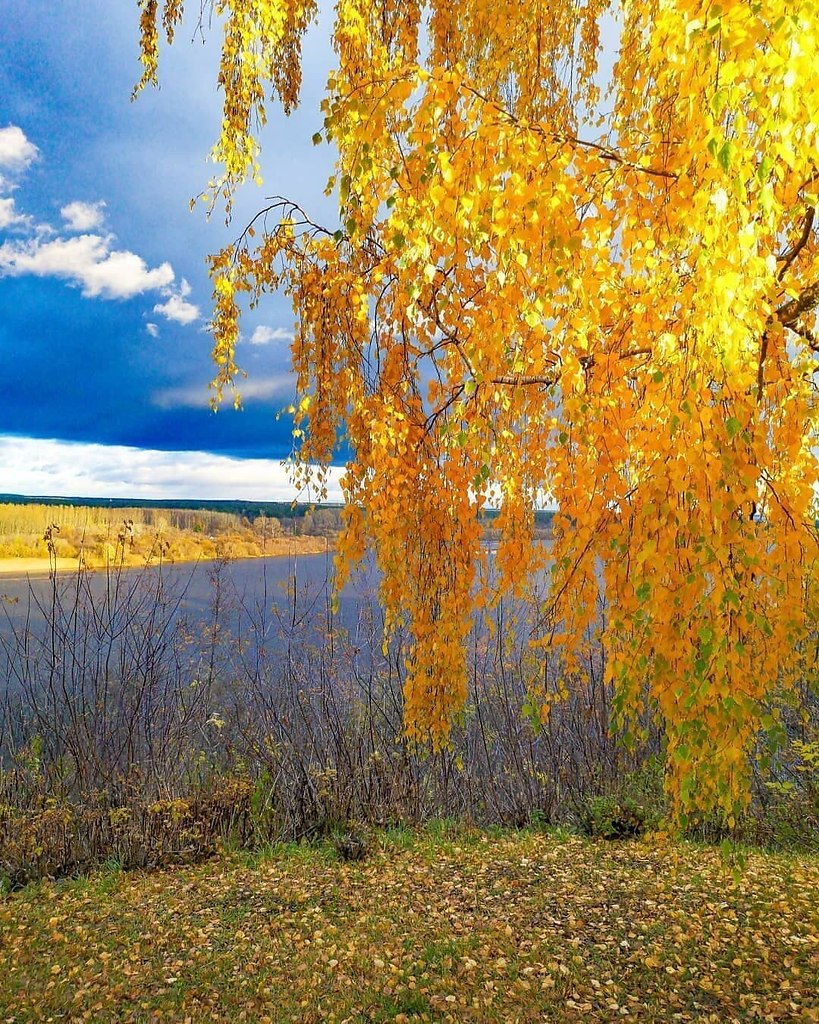 - - . - - .             . ...