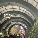 ���� ���, ������ - ��������� 31 ������� 2025 � ������ ������ ��������