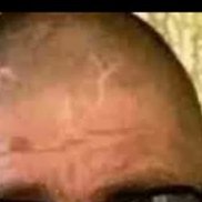 , 58 , 