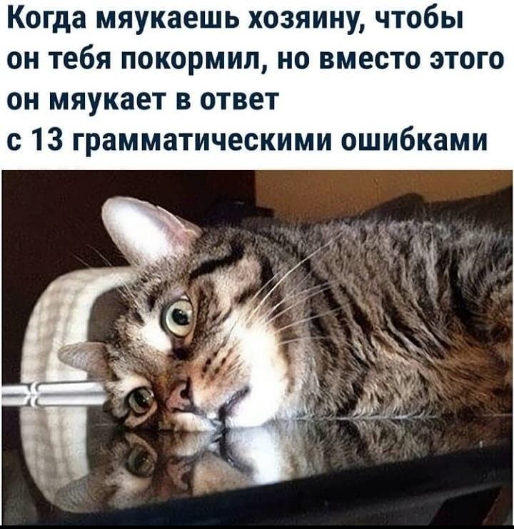   - 1  2025  16:14