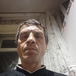 , 41, 
