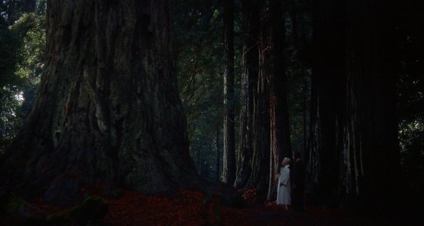 �������������� / Vertigo, 1958.���. Alfred Hitchcock - 7