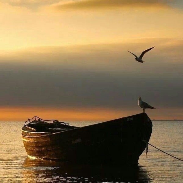 ������ ����� ������ ���� ���, ����� ������, ��� ���� ����� � ������ ������������ ����.