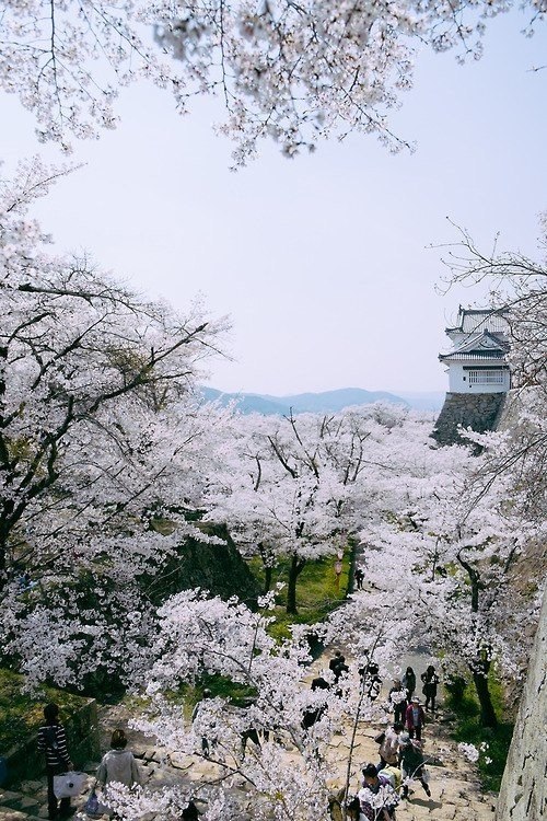 �� �������, �������, �� ������� ����, ��� �������� ������ ����� � ����� ������ ������� ����� ����.- ... - 3