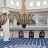 ���� ����, ������, 71 ��� - ��������� 3 ������ 2025