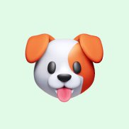 ����������, 29 ���, ������