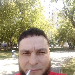 , 38, 
