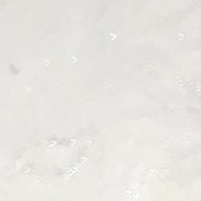 , 40 , 