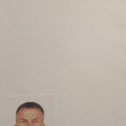 , 53, 