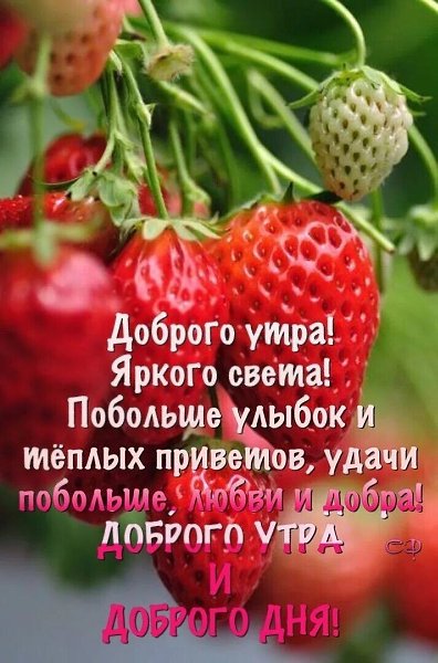4 июля... Четверг... Доброе утро! Уютного Теплого Солнечного нам дня! ...пусть сегодняшний день ...