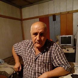, 61, 