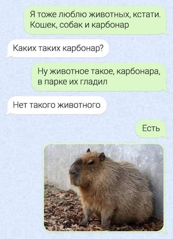   - 18  2024  11:57