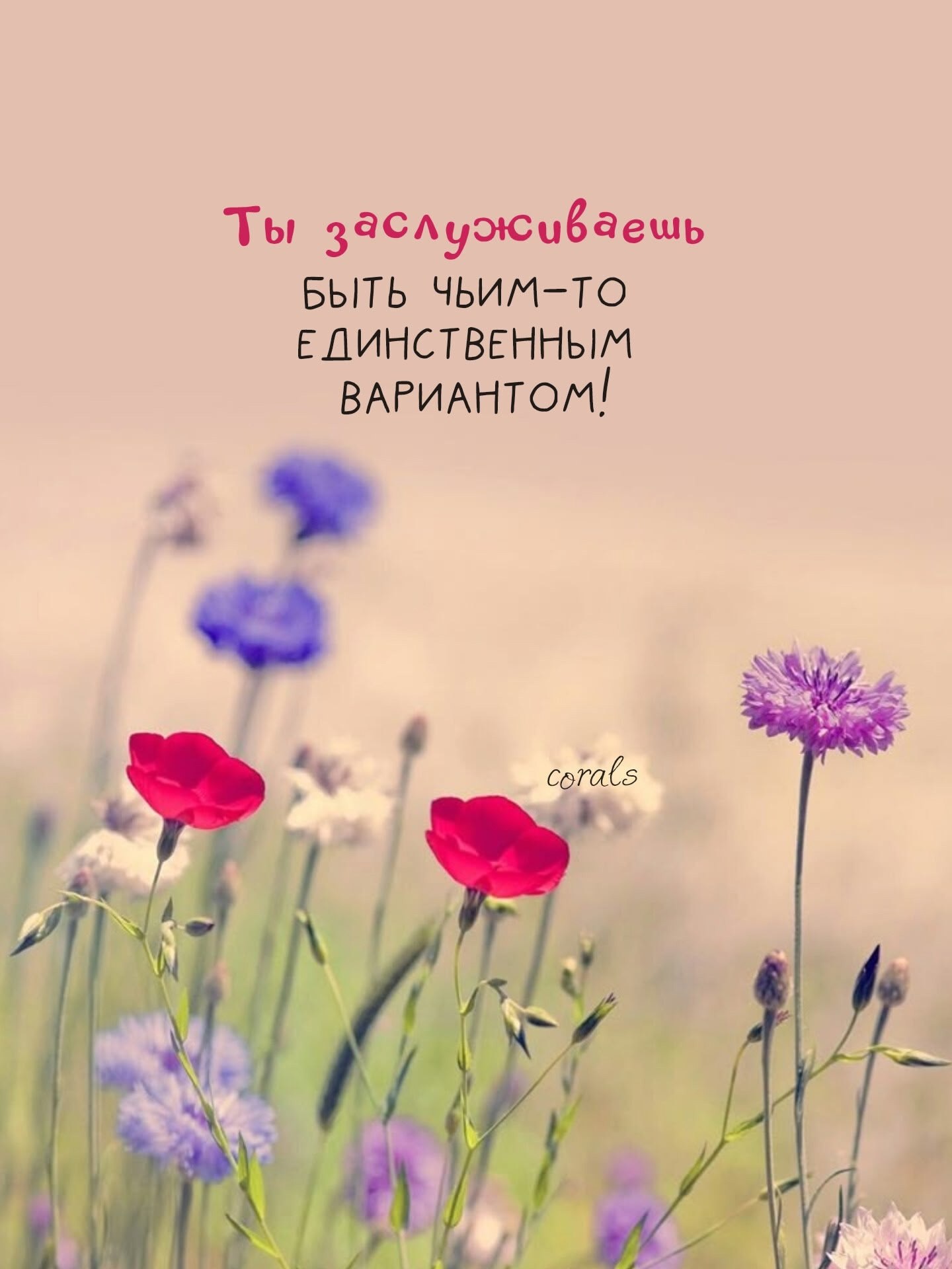  - 14  2025  08:56