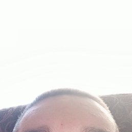  , 28, 